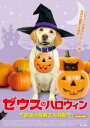 【SALE】【中古】DVD▼ゼウスのハロウィン おばけ屋敷で大騒動 レンタル落ち