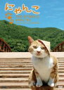 【中古】DVD▼にゃんこ THE STORY 2 宿場町ねこ散歩 奈良井宿・福島宿編 レンタル落ち