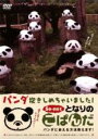 【中古】DVD▼となりのこぱんだ パンダ抱きしめちゃいました パンダに会える方法教えます
