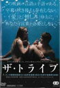 【SALE】【中古】DVD▼ザ・トライブ 全編手話のみ レンタル落ち