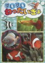 &nbsp;JAN&nbsp;4988003966997&nbsp;品　番&nbsp;KIBR4430&nbsp;制作年、時間&nbsp;2004年&nbsp;26分&nbsp;製作国&nbsp;日本&nbsp;メーカー等&nbsp;キングレコード&nbsp;ジャンル&nbsp;趣味、実用／動物／その他&nbsp;カテゴリー&nbsp;DVD&nbsp;入荷日&nbsp;【2023-02-18】【あらすじ】5歳以上の子供を対象に、集合住宅でも飼いやすい飼育初心者向けのペット‘熱帯魚’の種類・生態・飼育方法などを、オリジナルキャラクター・グッピーが紹介。水槽の手入れや、魚の病気についてなど、子供たちが楽しく見ながら知識を得ることができる。※レンタル店で使用したレンタル落ちの中古品です。レンタル用DVDケースでの発送となります。