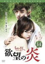 【中古】DVD▼欲望の炎 14(第27話、第28話) 字幕のみ レンタル落ち