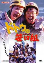 【中古】DVD▼ドトウの笹口組 レンタル落ち