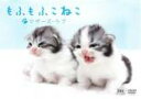 【中古】DVD▼もふもふこねこ マザーズ・ラブ レンタル落ち