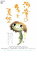 【中古】DVD▼河童のクゥと夏休み レンタル落ち 599円