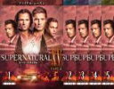 全巻セット【送料無料】【中古】DVD▼SUPERNATURAL スーパーナチュラル XV フィフティーン ファイナル シーズン15 PART2(5枚セット)第11話～第20話 最終 レンタル落ち