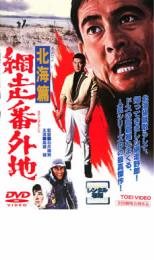 【中古】DVD▼網走番外地 北海篇 レンタル落ち