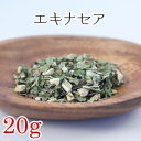 エキナセア ハーブティー