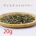 ワイルドストロベリー 20g ハーブティー