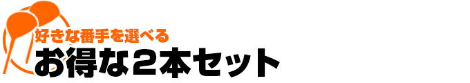 ゴルフ クラブ メンズ フェアウェイウッド 2本セット フォーサイトFW 標準カーボンシャフト仕様 1W 2W 3W 4W 5W R / S