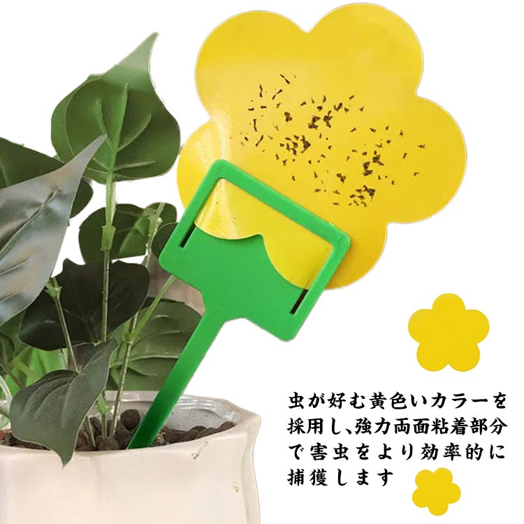 環境に優しい素材で作られた虫取り粘着シートです。殺虫剤や殺虫スプレーと違い、薬剤を使用しておりません。無臭、無毒で安全に使用していただけるので、人やペットにやさしく小さなお子様がいる家庭でも安心してご使用いただけます。効果も約1カ月持続し、水に濡れても乾けば粘着力復元。コナジラミ類、アザミウマ類、アブラムシ、ハエ類などの虫が好む色で引き寄せるので、抵抗性のある害虫も捕獲できます。害虫が触れるとしっかりとくっついてしまうので、逃げることができません！楽に害虫の問題を解決。虫が苦手な方でも害虫に触れることなく処分できるのも嬉しいポイント。●製造ロットにより、細部形状の違いや、同色でも色味に多少の誤差が生じます。●パッケージは改良のため予告なく仕様を変更する場合があります。▼商品の色は、撮影時の光や、お客様のモニターの色具合などにより、実際の商品と異なる場合がございます。あらかじめ、ごください。▼生地の特性上、やや匂いが強く感じられるものもございます。数日のご使用や陰干しなどで気になる匂いはほとんど感じられなくなります。▼同じ商品でも生産時期により形やサイズ、カラーに多少の誤差が生じる場合もございます。▼