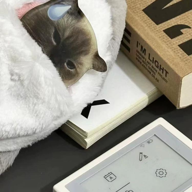 ぬいぐるみ ペンケース 筆箱 いぬ 犬 ポーチ コスメポーチ 大容量 筆箱 入学祝い 新学期 プレゼント ギフト ベビー 動物 アニマル プレ dynaricco-10002986 ディナリッコ サンプル画像2