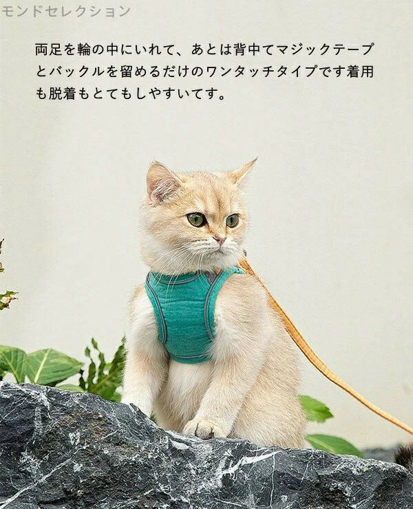 【送料無料】抜けない ねこネコ子猫 猫用ハーネス 猫 リードセット ソフト胸あて 3...