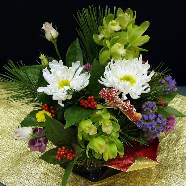 晴光～せいこう～ 年越し特集【迎春】【お正月】【送料無料】【#元気いただきますプロジェクト】