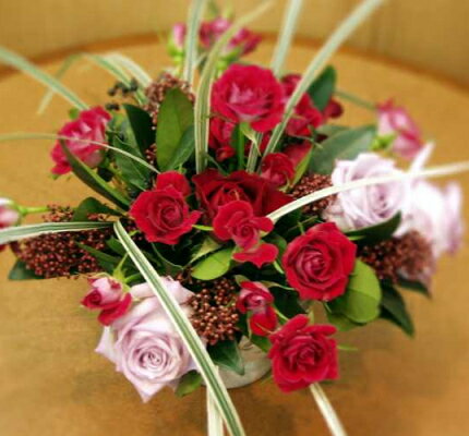 真っ赤なバラの想いが伝わる