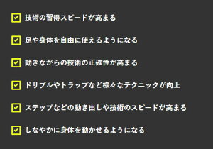 サッカーボール テクニック上達専用サッカーボール テクダマ サイズ2号球 リフティングボール )通販 サッカー 用品 セール