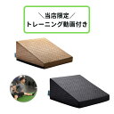 「当店オリジナル動画付き」 ストレッチ 柔軟 股関節 フレックスクッション