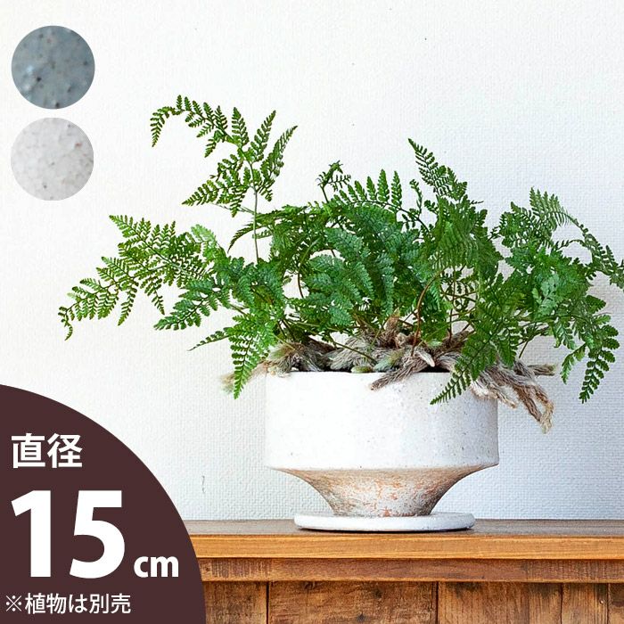 面白い形。何を植えるかテンション上がる陶器鉢（15cm）おしゃれ植木鉢のサムネイル