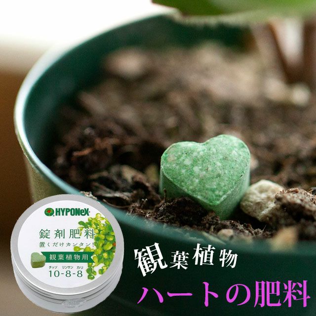 ハートの肥料（観葉植物向け）錠剤