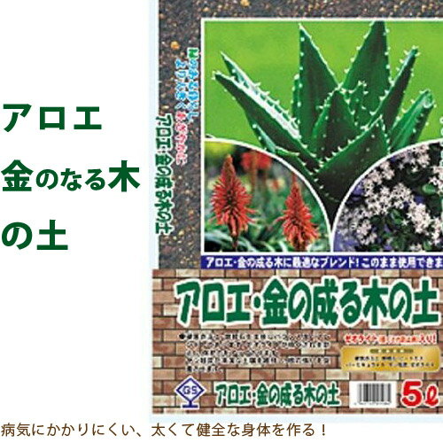 アロエ、金の成る木の土 5リットル【多肉植物 花月 金のなる木】