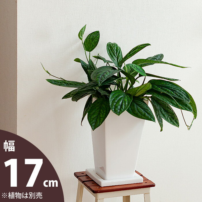 【おしゃれな植木鉢】縦長スクエア陶器鉢（17cm）cb27