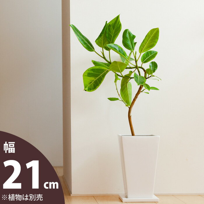 【おしゃれな植木鉢】縦長スクエア陶器鉢（21cm）【白 植木鉢 鉢 陶器鉢 おしゃれ モダン　cb28 mu】