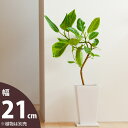 【おしゃれな植木鉢】縦長スクエア陶器鉢（21cm）【白 植木鉢 鉢 陶器鉢 おしゃれ モダン　cb28 mu】