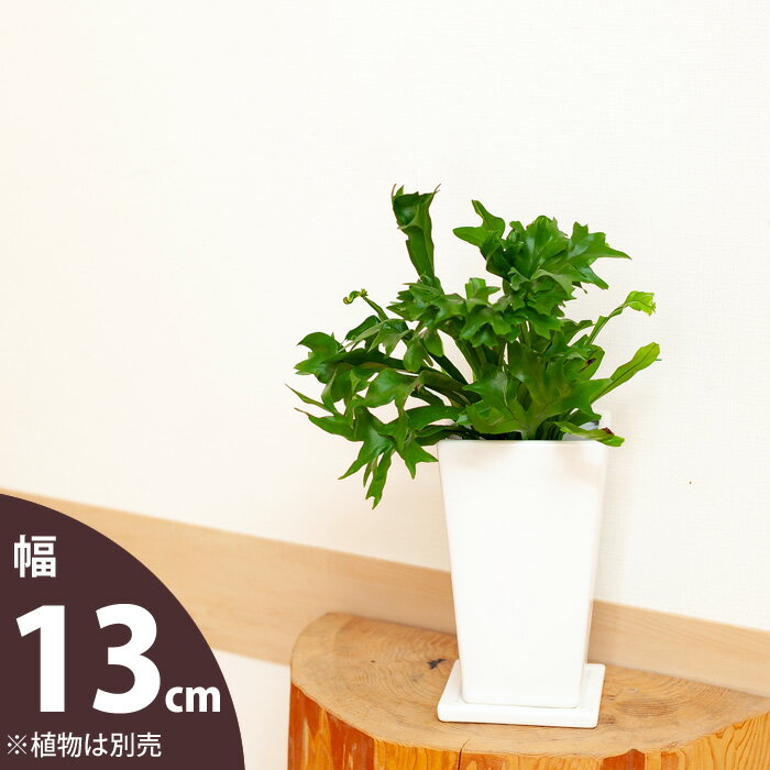 【おしゃれな植木鉢】縦長スクエア陶器鉢（13cm）〈cb25 mu〉