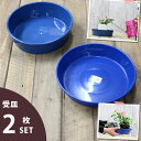 実はこれ、あると非常に便利です!道具が揃うと、植物も長持ちです。お水の時や、植物