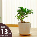 【おしゃれな植木鉢】「手作り」みたいな三角陶器・ショート(13cm)