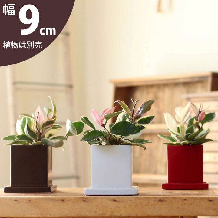 【おしゃれな植木鉢】定番スタイル・スクエア陶器（9cm）