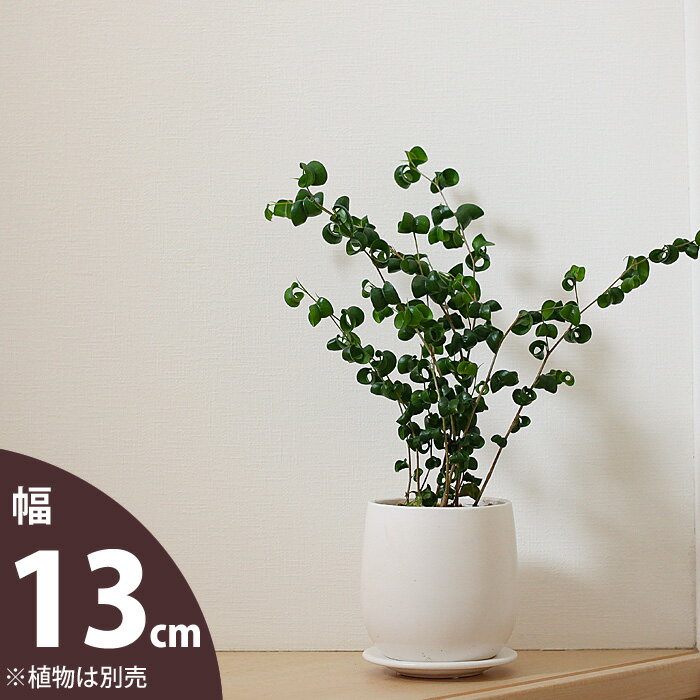 【植木鉢】おしゃれ！白マット陶器鉢（13cm）植木鉢 おしゃ