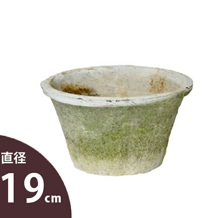 【おしゃれな植木鉢】白モスポット浅鉢（径19cm/高さ11.5cm)