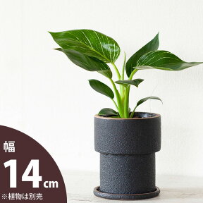 【おしゃれな植木鉢】ザラっとした質感。渋カワ陶器鉢（12.5cm）