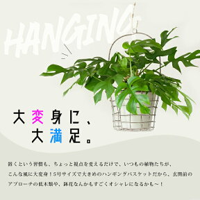 ハンギングPOTカバー大（20cm）観葉植物 吊り下げ 吊るす アイアン JUNK