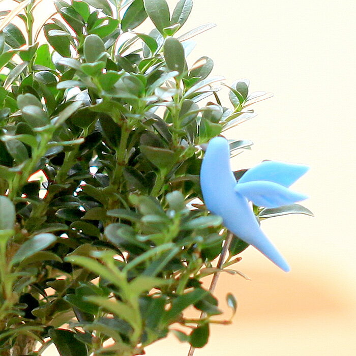 幸せの青い鳥☆お値段は張るけど、可愛い。手作りガーデニング フラワーピック