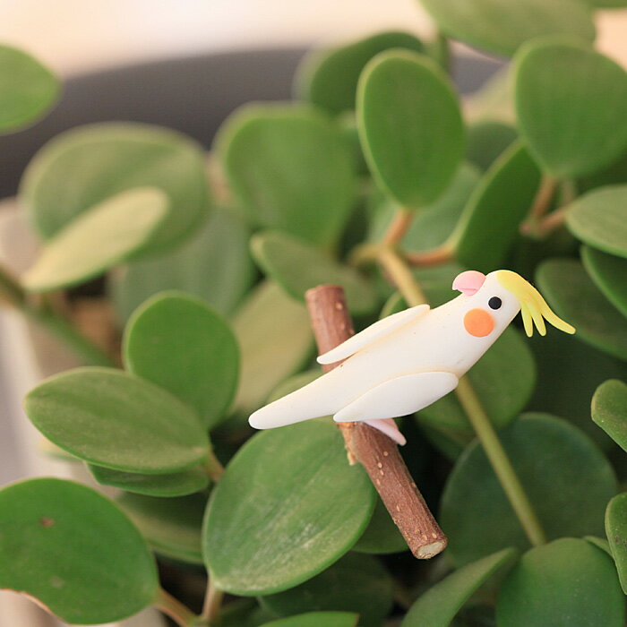 オカメインコちゃん♪お値段は張るけど、可愛い。手作りフラワーピック