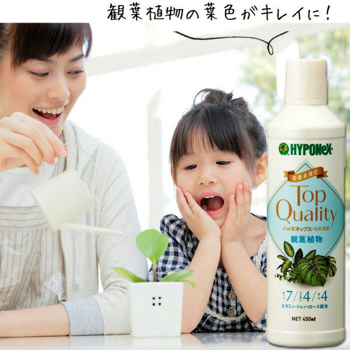 観葉植物の肥料（水やりの際、ジョーロに入れる液体肥料）のサムネイル