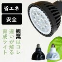 vďCFA琬CgiϗtAEAjÂĂ߂ȂIϗtA vclNXCg Cg ACg A琬Cg z  LED 100W E26 S PSD ȃGl@  k   A琬ledCg A 琬v c