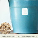 e-8783:10005087のサンプル画像3