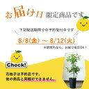 e-8783:10005555のサンプル画像2