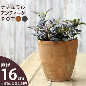 モスポット：トールtype（直径16.5cm/高さ17.5cm)【おしゃれな植木鉢】