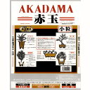 あると何かと便利です！硬くてつぶれにくい 高品質 硬質赤玉土5リットル 【2本線硬質赤玉土 茨城 埼玉 小粒 中粒】