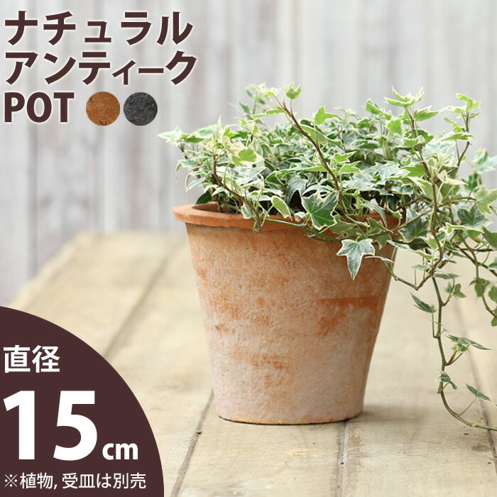 モスポット（直径15cm/高さ14cm)【おしゃれな植木鉢】