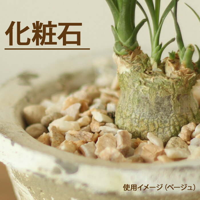 観葉植物を元気にする活力剤 お届け内容 化粧石（化粧砂利）×1袋 ※ビニール袋に入れてお届けしています。 サイズ目安 内容量:350g 3〜4号鉢サイズなら、2〜3鉢に使用できます。 ※あくまで目安です。敷く「厚さ」によっても違ってきます。 関連品・バリエーション ■■取扱いの化粧石、マルチング一覧コチラ 注意事項 ・ビニール袋に入れてお届けします。（専用パックなどではございません。その分、価格面で頑張っています） ・その時々で若干色味が写真より濃淡することがございます。 配送料 こちらは「通常送料」商品です。 送料はコチラ 備考 【同梱おすすめ】土の上に置くだけ！ 土が見えなければ、オシャレ度は2割増し！ 人気の化粧石に新色が追加です！ ナチュラルな色味。テラコッタや白い陶器鉢と愛称抜群の「ベージュ」と「ピンク」。 やっと、よいものが見つかりました！ 鉢や植物に合わせて、お好みのカラーをお選びくださいませ。 【使用方法】 土の上に、薄く敷きつめます。（装飾の役割を果たすものです。） 1袋は350g。敷く厚さや植えてある植物により、1袋でどれくらい使用できるかはかなり違ってくきますが「目安」として、上記の植木鉢（直径10cm)であれば、3〜4鉢ほど使用できます。