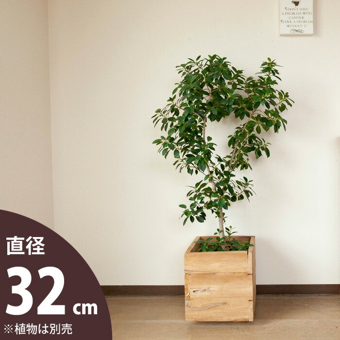楽天市場】木製(サイズ(植木鉢)7 ~ 9号)(植木鉢 楽天市場】木製(サイズ(植木鉢)7 ~ 9号)(植木鉢