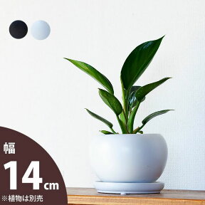 【おしゃれな植木鉢】ボール型・陶器鉢（14cm）