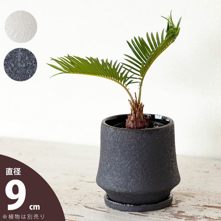 【おしゃれな植木鉢】ザラッとした質感。マット調の陶器鉢S（9.5cm)観葉植物 植え替え 鉢 植木鉢 おしゃれ 陶器 鉢トイレ 棚 鉢 植木鉢 小さめ 白 黒 ホワイト ブラック 鉢カバー 室内 鉢植え 土 ガーデニング 2.5号 3号 小さい ミニ ミニ鉢 室内 プレゼント お祝い