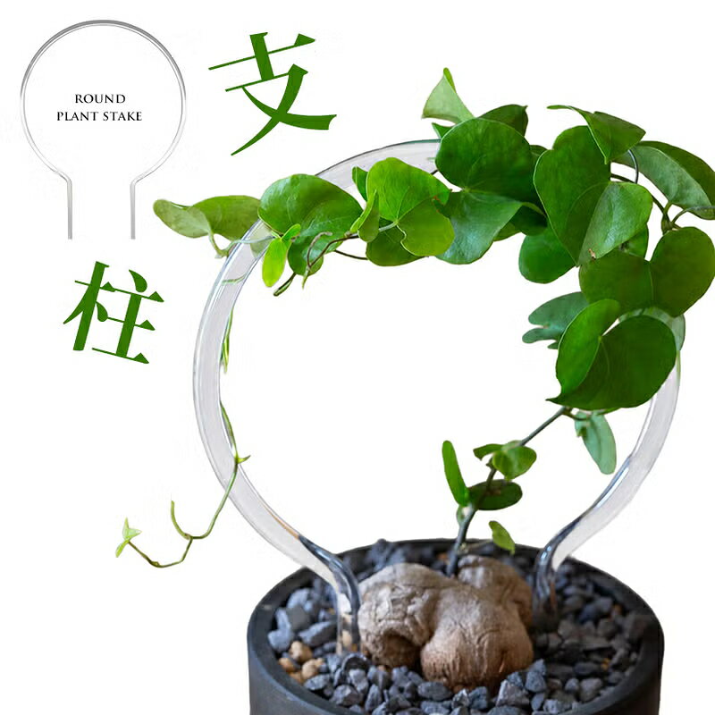 【植物を立体的に飾る】丸形・透明支柱（クリップ付き）ガーデン雑貨 園芸支柱 室内 おしゃれくい 杭 観葉植物