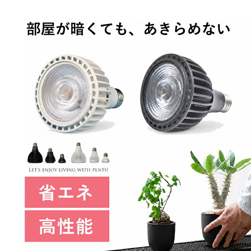 Rakuten